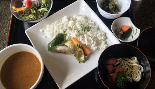 【豊島】レンタカーでぶらり♪島キッチンの野菜カレー！｜瀬戸内国際芸術祭2019 #23